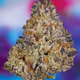 Esoteric420
