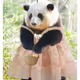 weili2018