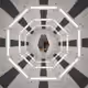 luca_terry
