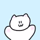 katcat2
