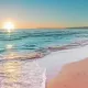 ZARYAN_7