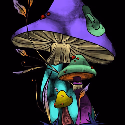 OpenSea profile picture for @Coping
