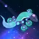 CryptoBoarder
