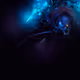 TaraselFiend