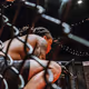 Zachsavage28