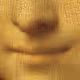 pixeljindovault