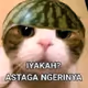 0xe4b40e3d93ac645dfdecd7f49902930cca63a27d