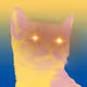 NFTer_TO
