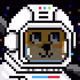 ArlenChang_vault