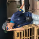 Banana_Magro