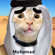 CDHabibi