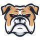 HazDog