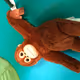 aaronmai