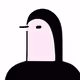 photonpigeon