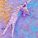 0xf83082a7ab44761f10b0d27dba216d5a14e2346c