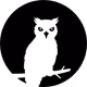 Kognizance