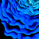 Sophia_on_canvas