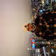 Marwo_