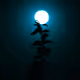 Moon-Light1