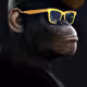 3WiseApe