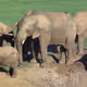 ssandboxxx