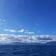 ririrara