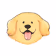 Golden_Good_Boi