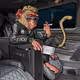 DrunkenMonkeyMembersClub