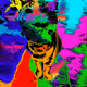 TradizzleTheArtist