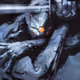 GrayFox655