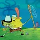 madsponge