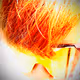 ITGe1F