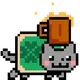 fleyr