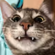 LaPainPerdu