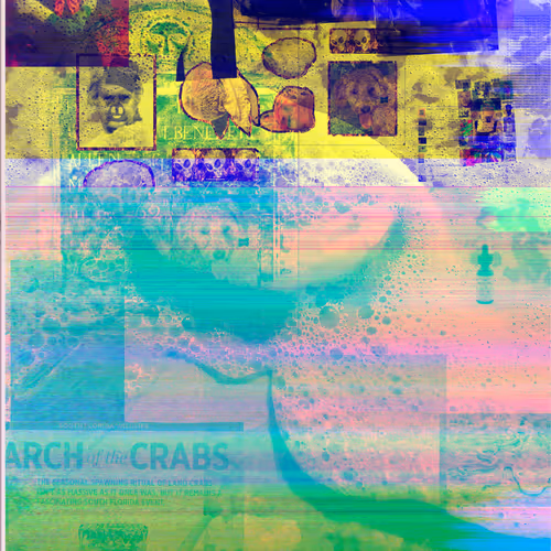 OpenSea banner for @Freddie