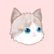 Kittenx