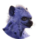 rainbowzrd