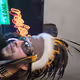 XunnyTheSunshineLionx