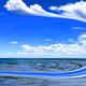 NFTinitcom_stELLA_assian