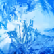 IceIglooIce