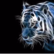 RDeepWarwal