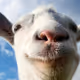GoAt_420