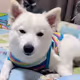 Toey_OS