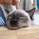 HWANHEAR_