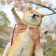 0xfa9c06c652c03bad440ba624811cc270f2f470d5