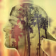 Graye