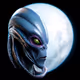 perfectpfp