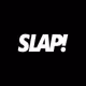 viizSLAP