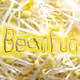 0xfacef1e8ab76730b5f6976dbc9b09d462ab2d555