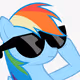 RainbowDashXXX